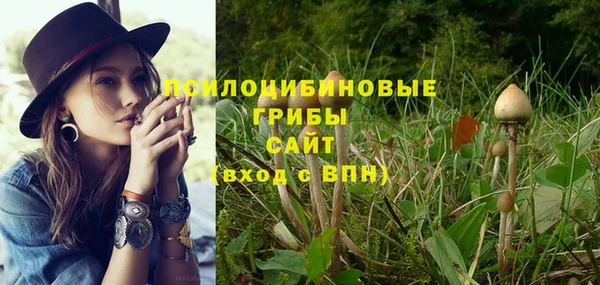 мескалин Арсеньев